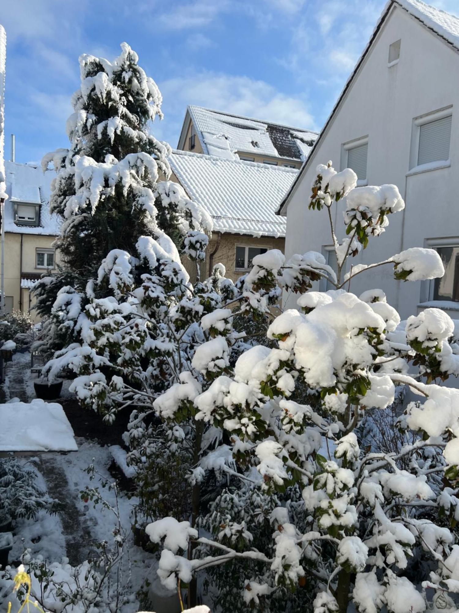 Haus Pia Executive Apartments Friedrichshafen Eksteriør bilde